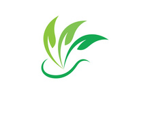 Nature leaf eco green logo icon