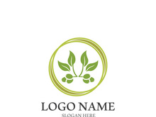 olive icon vector illustration design template