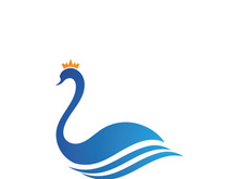 Swan logo Premium and symbol Vector