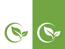 Green tree leaf nature logo images illustration design