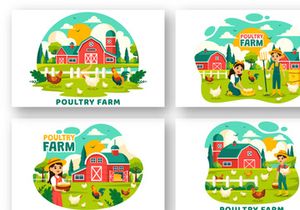 12 Poultry Farm Illustration