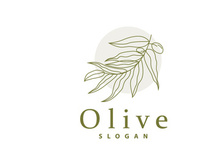 Olive Oil Logo, Olive Leaf Plant Herbal Garden Vector