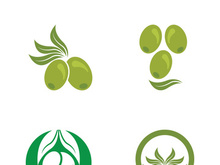 Extra virgin olive oil logo icon design vector illustration