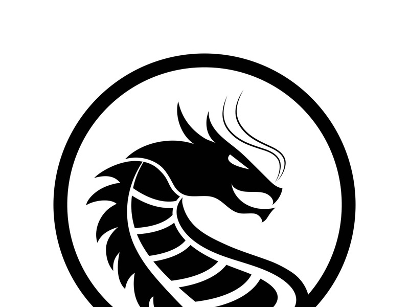 Dragon vector icon illustration design logo template