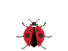 ladybird animal  vector logo symbol icon