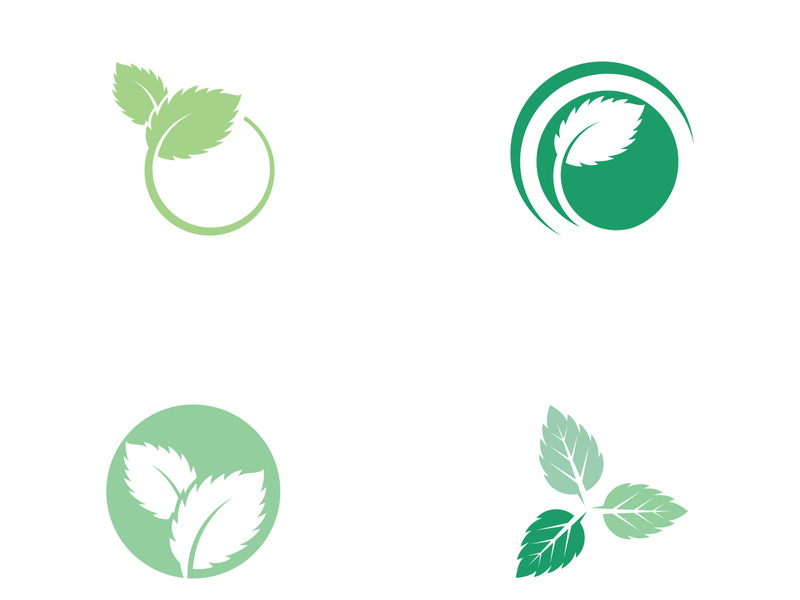 Mint Leaf icon template illustration