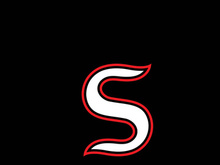 S logo Business corporate letter design vector