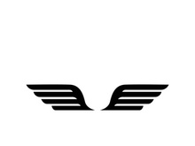 Wing illustration logo and symbol vector