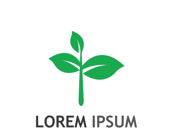 Natural green leaf logo.