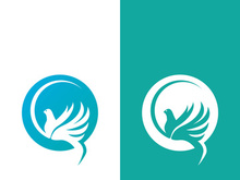 Dove bird logo vector design illustration