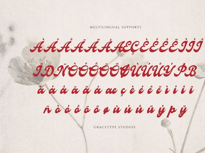 Signage Heritage | Vintage Bold Script