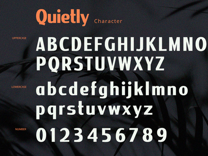 Quietly - Sans Serif Font