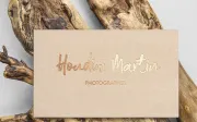 Shelldon Brush Script Font Demo (Personal Use)