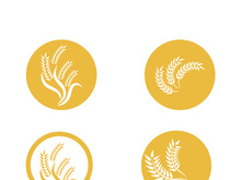 Wheat logo vector icon illustration design