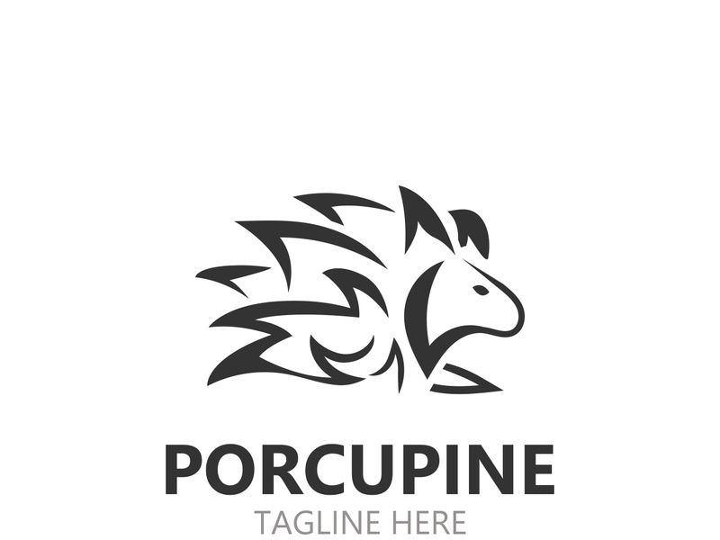 Porcupine logo design. animal vintage minimalist logo Hedgehog modern template icon