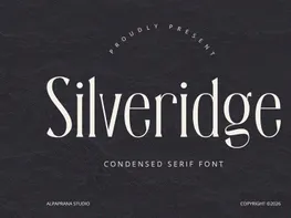 Silveridge - Serif Font preview picture