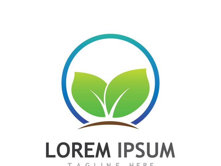 Natural green leaf logo.