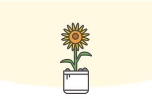 Indor Flower Vector Illustration