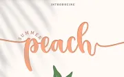 Summer Peach