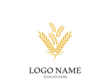 Wheat logo vector icon illustration design