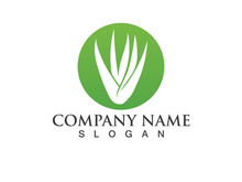 Aloe vera logo vector ilustration template