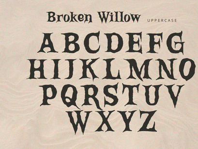Broken Willow - Display Font