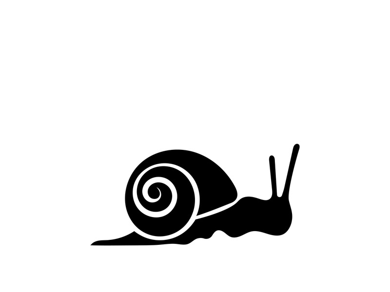 snail animal logo and symbol template