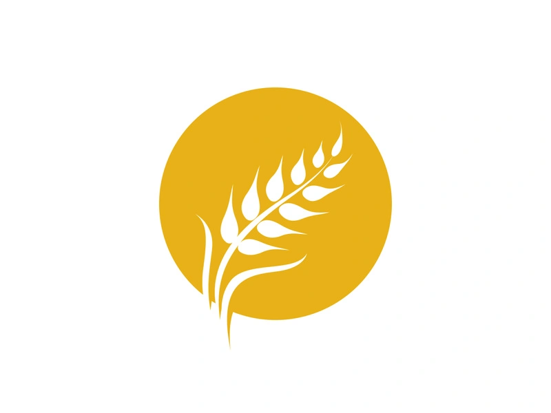 Agriculture wheat vector