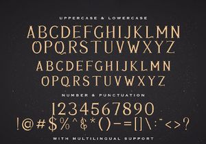 Avins Bake - Decorative Serif Font