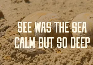 Clamshell - Condensed Vintage Font