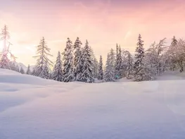 Winter sunset in the snowy forest preview picture