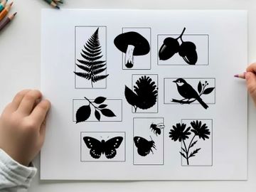 Silhouette of various plants and insects collage preview picture