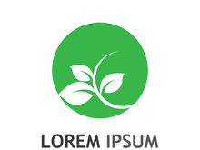 Natural green leaf logo design.