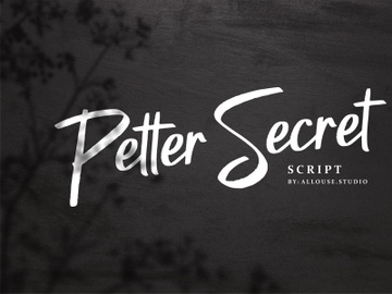 Petter Secret preview picture