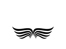 Wing illustration logo and symbol vector