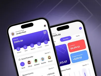 VirPay v1.0 - Complete Mobile Financial Service | MFS