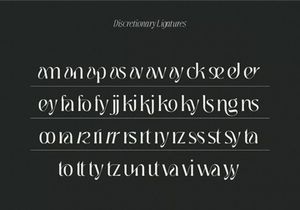 Jedira - Modern Branding Logo font