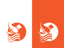 Dove bird logo vector design illustration