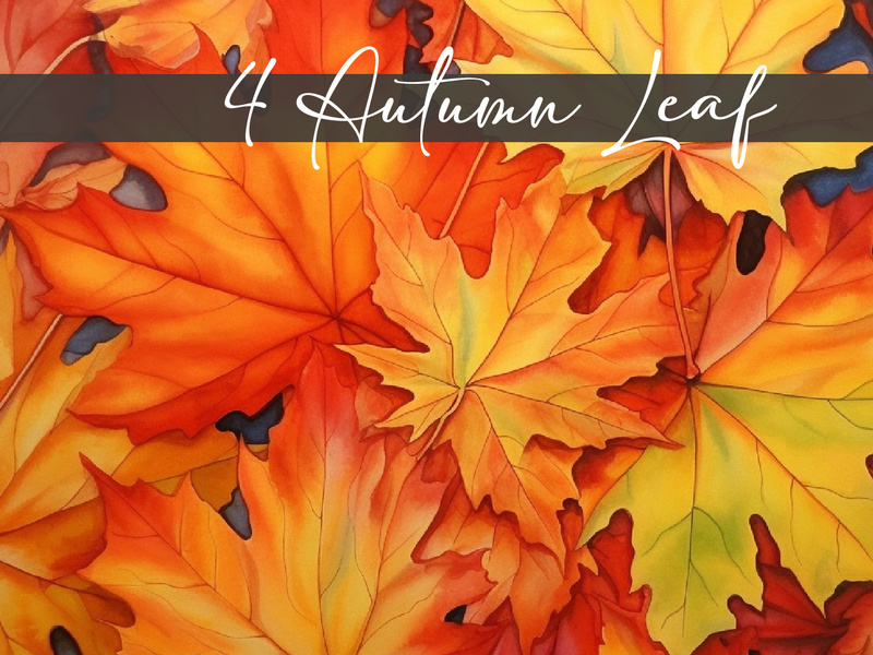 Creative Autumn Leaf Illustration