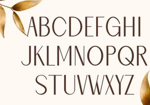 Naomi Elegant Typeface