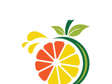 Orange logo design vector icon illustration