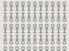 Seamless pattern shrimp vector