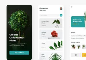 Uplants - Plant Store App UI Kit