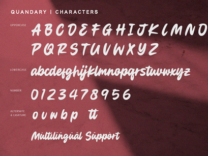 Quandary - Bold Script