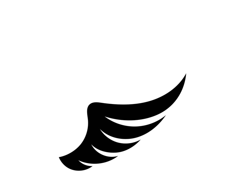 Wing illustration logo and symbol vector