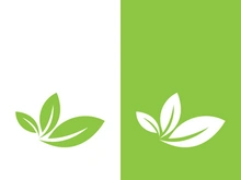 Green tree leaf nature logo images illustration design