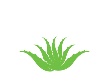 Aloe Vera logo icon design symbol beauty skin care preview picture