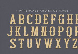 Bitchcraft - Western Slab Serif