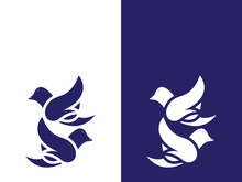 Dove bird logo vector design illustration