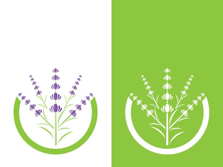 Fresh lavender flower logo vector flat design